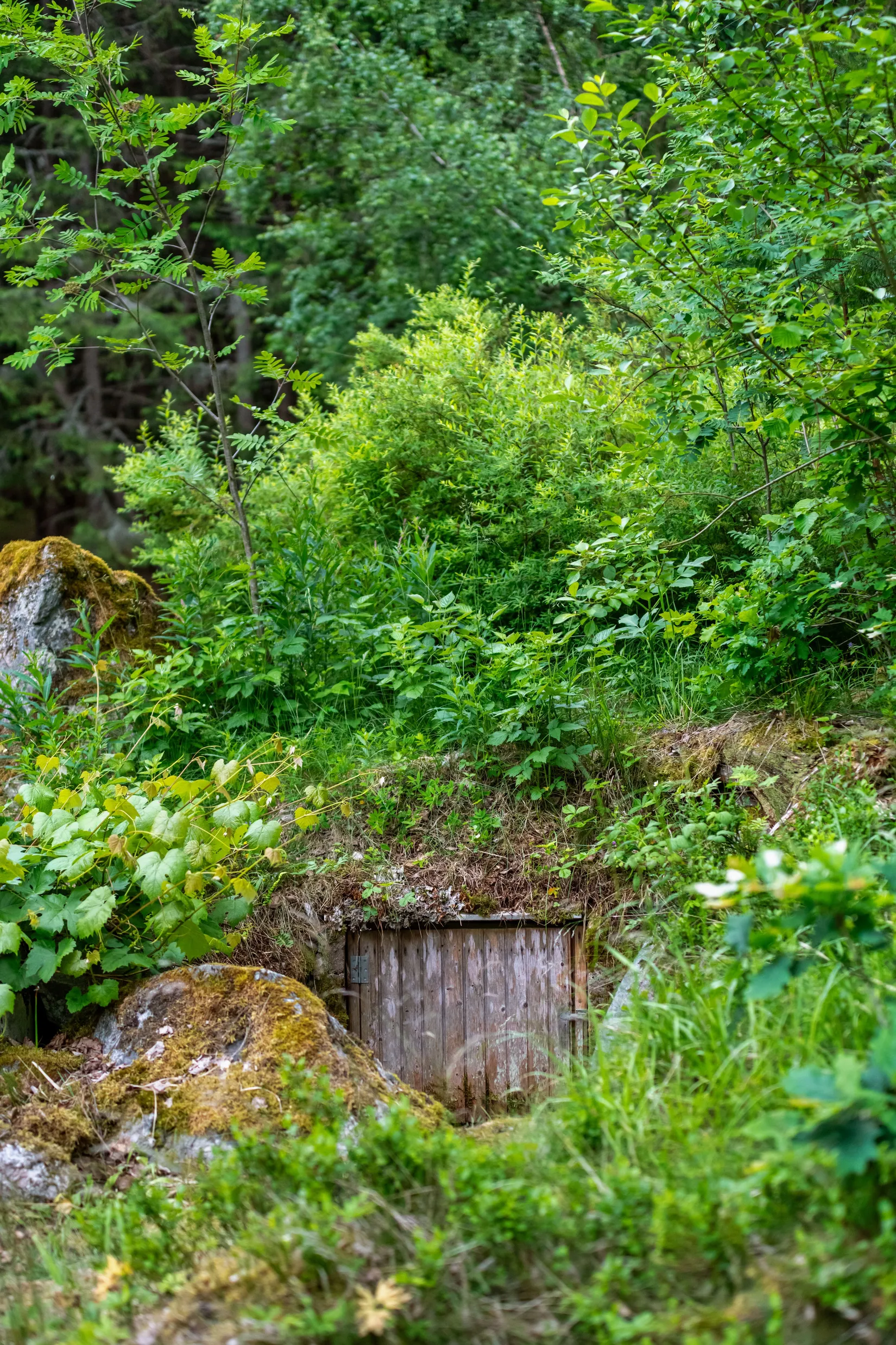 Fritidshus, Saxenvägen 75, Sättra By, Norrtälje