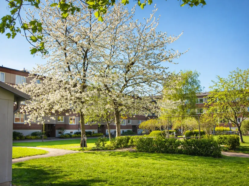 Bostadsrätt, Beryllgatan 33, Göteborg