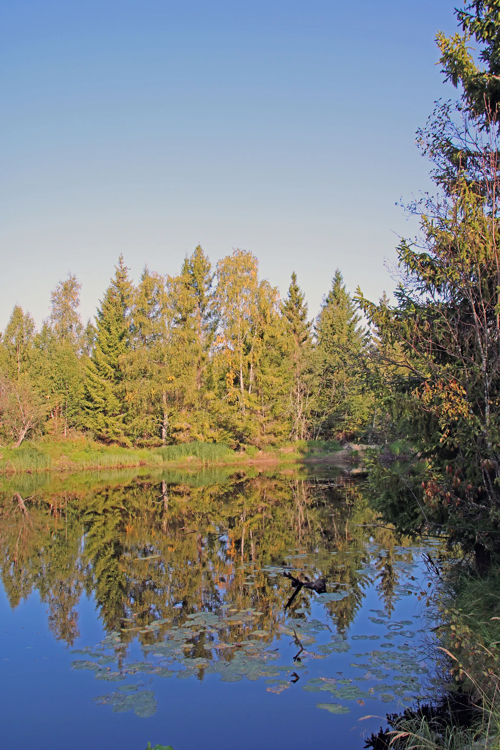 Gård/Skog, OCKELBO VALLSBO 3:8, Vallsbo, Ockelbo