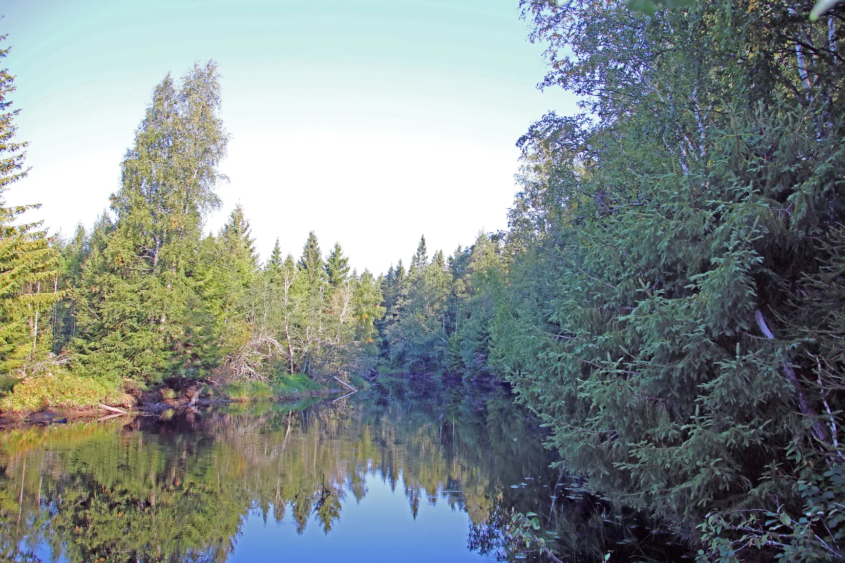 Gård/Skog, OCKELBO VALLSBO 3:8, Vallsbo, Ockelbo