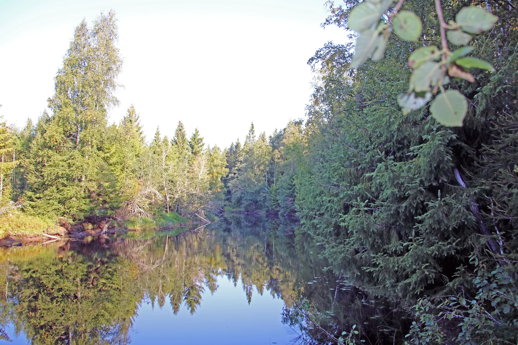 Gård/Skog, OCKELBO VALLSBO 3:8, Vallsbo, Ockelbo