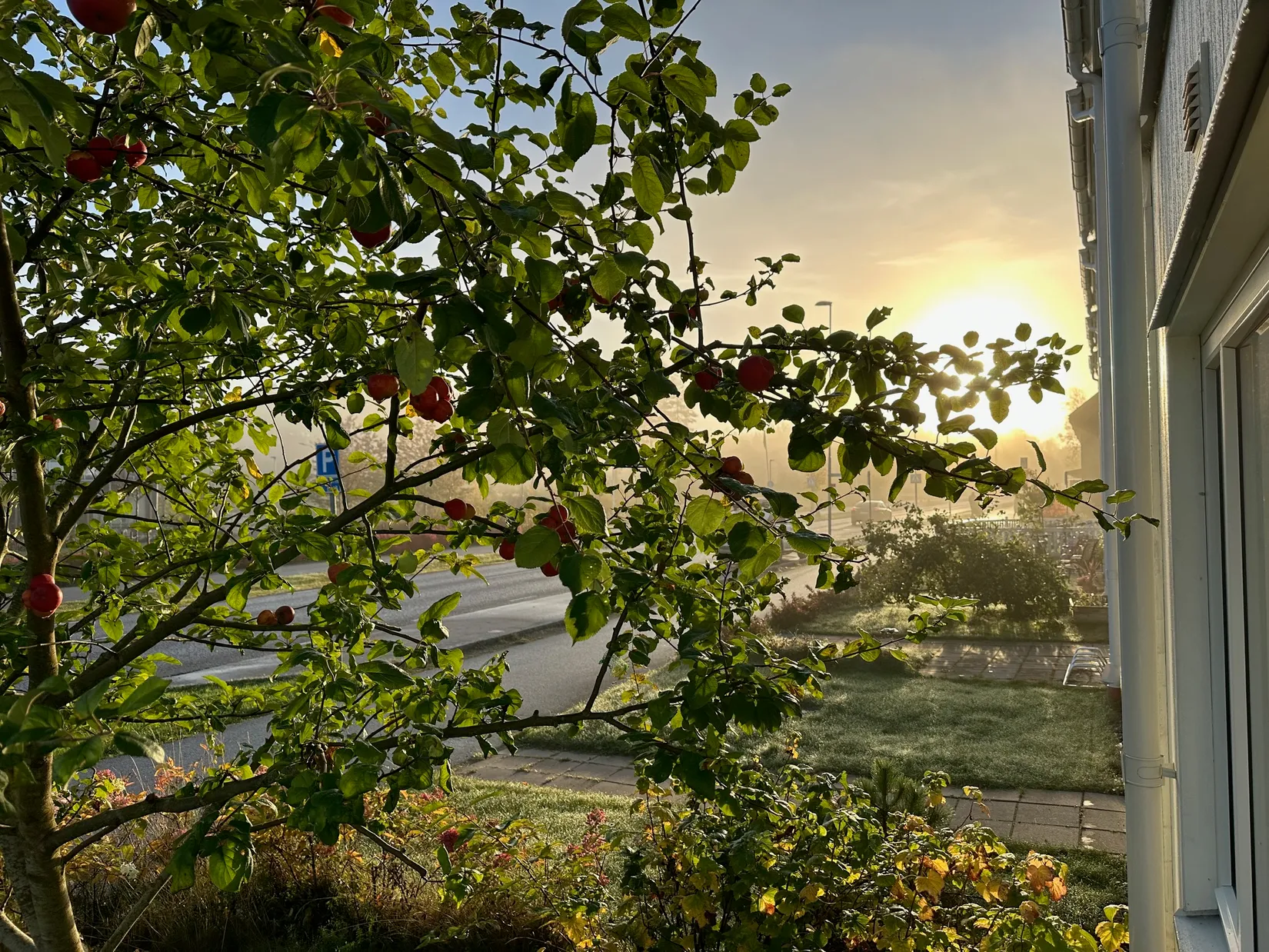 Bostadsrätt, Stenbrottsgatan 1F, Alsike, Knivsta