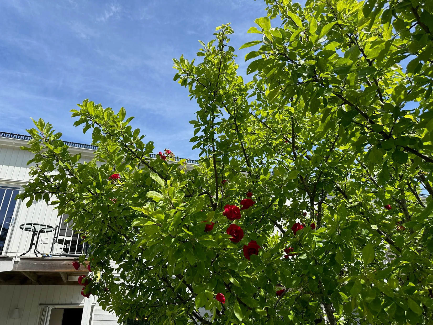 Bostadsrätt, Stenbrottsgatan 1F, Alsike, Knivsta