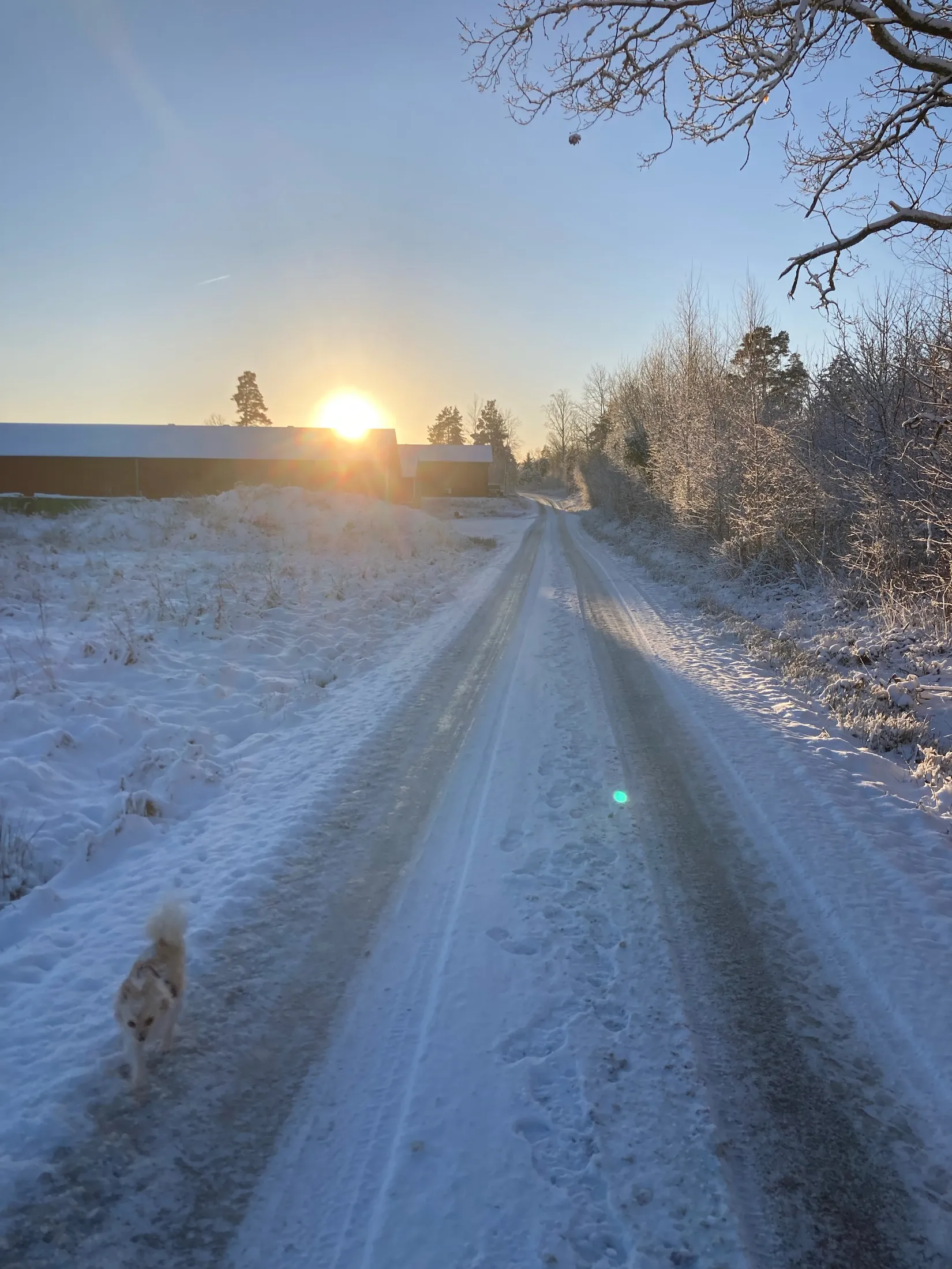 Villa, Jutegårdsvägen 2, Väne-Åsaka, Trollhättan
