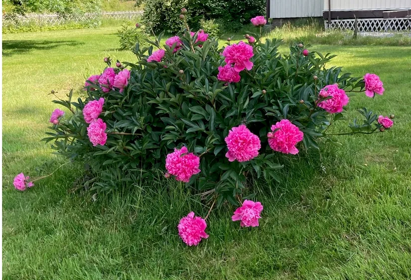 Villa, Jutegårdsvägen 2, Väne-Åsaka, Trollhättan