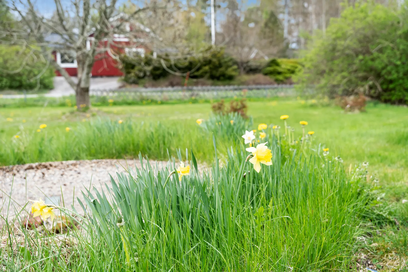 Villa, Jutegårdsvägen 2, Väne-Åsaka, Trollhättan