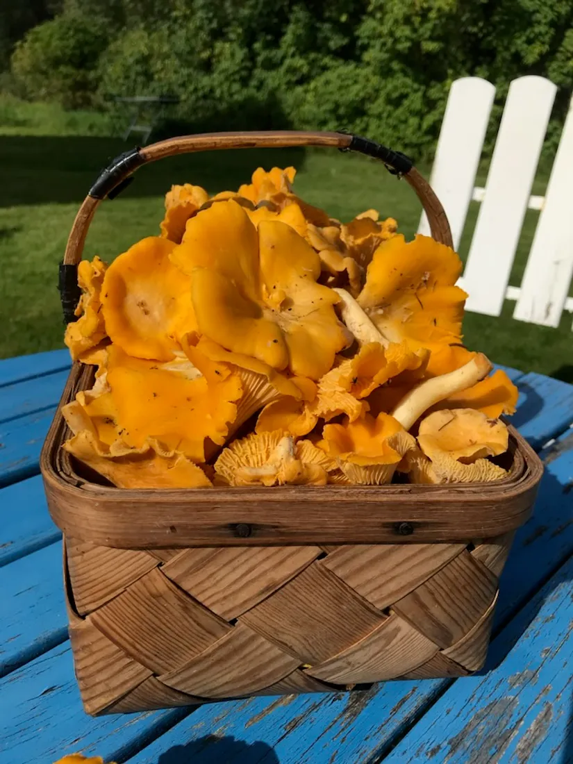 Fritidshus, Gaperud 961, Molkom