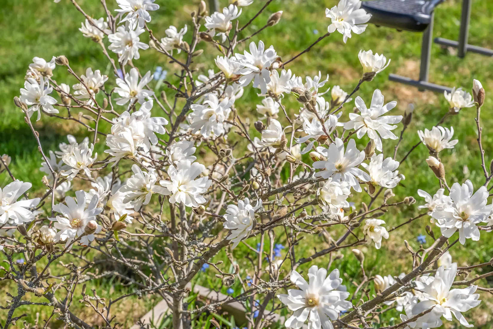 Villa, Linnégatan 48, Lagerlunda, Norrköping