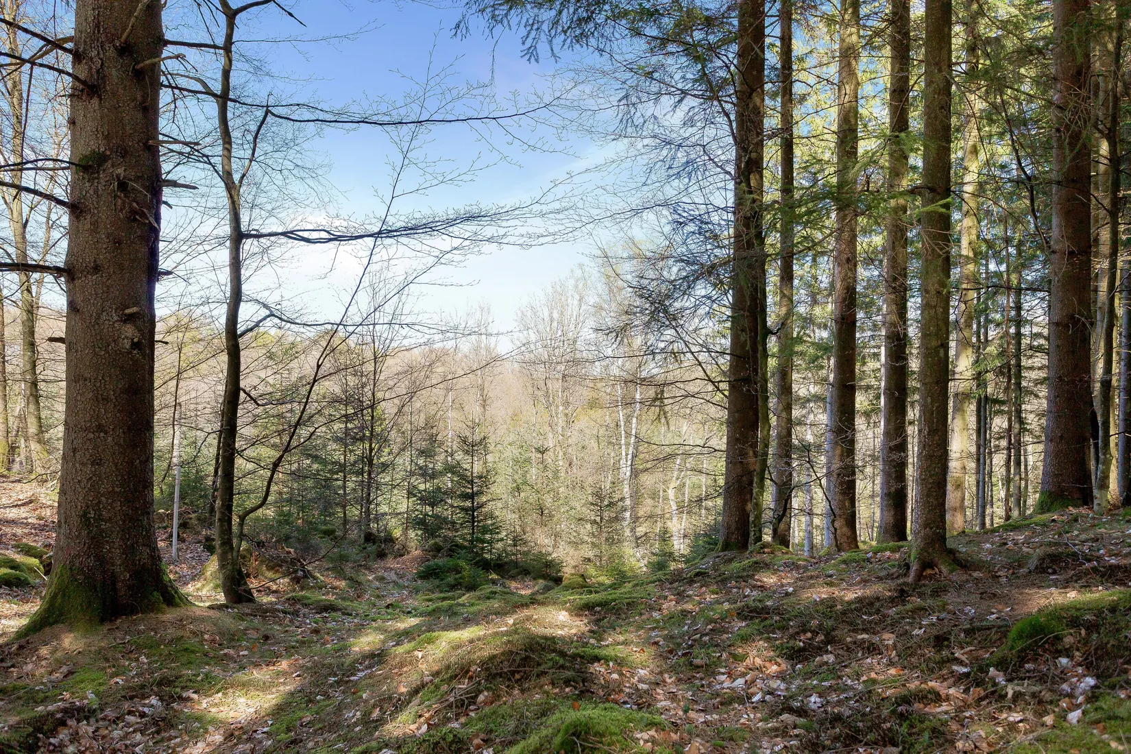 Övrigt, Brekillevägen 184, Össjö, Ängelholm