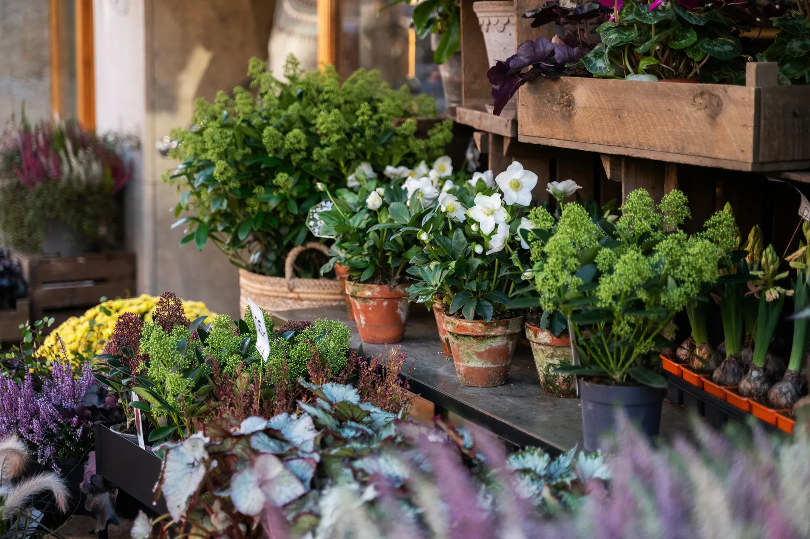 Bostadsrätt, Skridskovägen 7, Västertorp, Stockholm