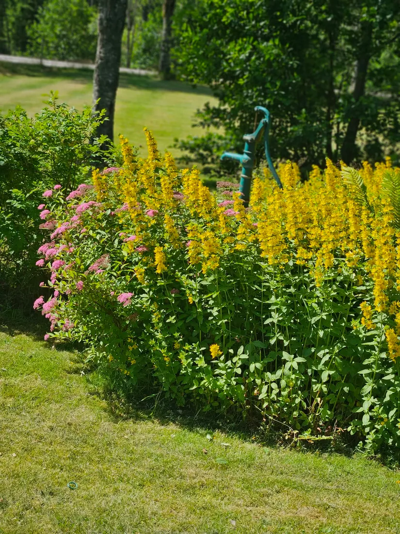 Fritidshus, Solbacken, Mullhyttan , Lekeberg