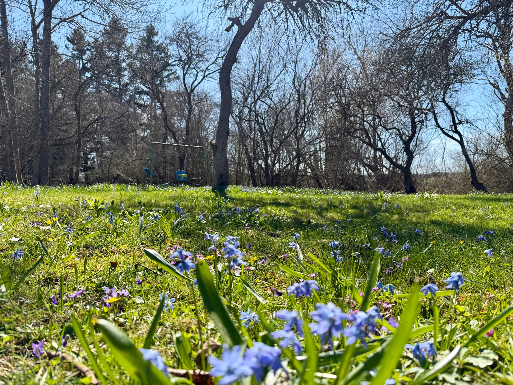 Gård/Skog, Fardhem Niksarve 334, Fardhem, Gotland