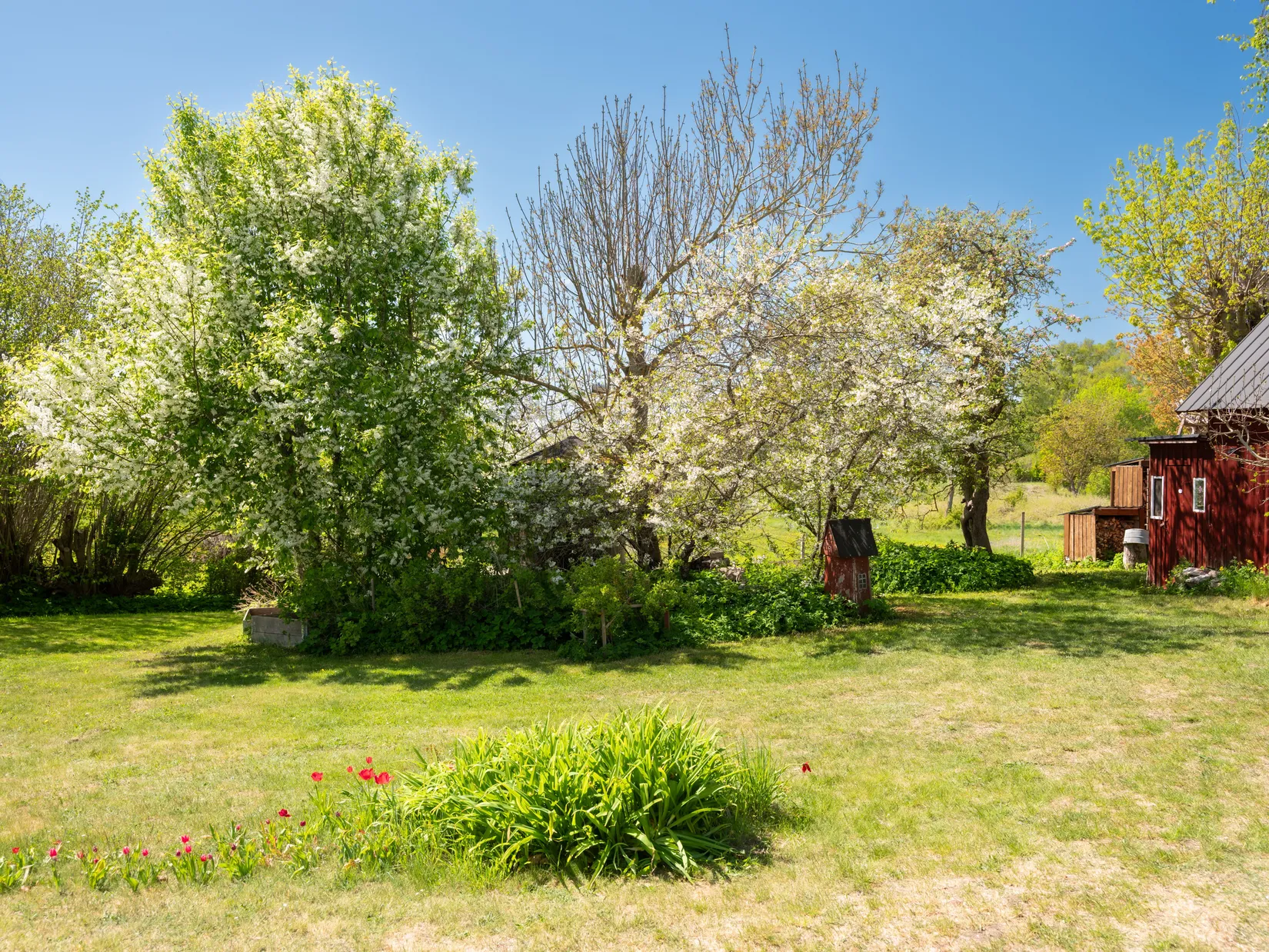 Gård/Skog, Fardhem Niksarve 334, Fardhem, Gotland