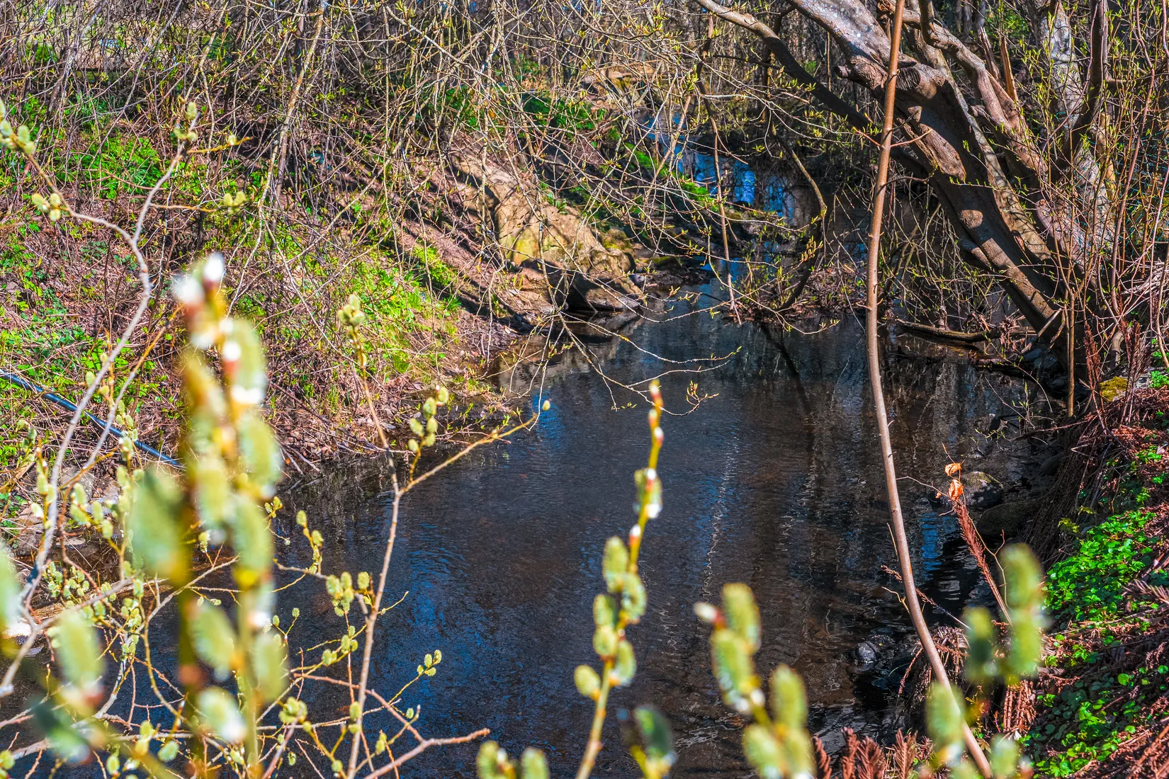 Villa, Bingstorpsvägen 11, Huaröd, Kristianstad