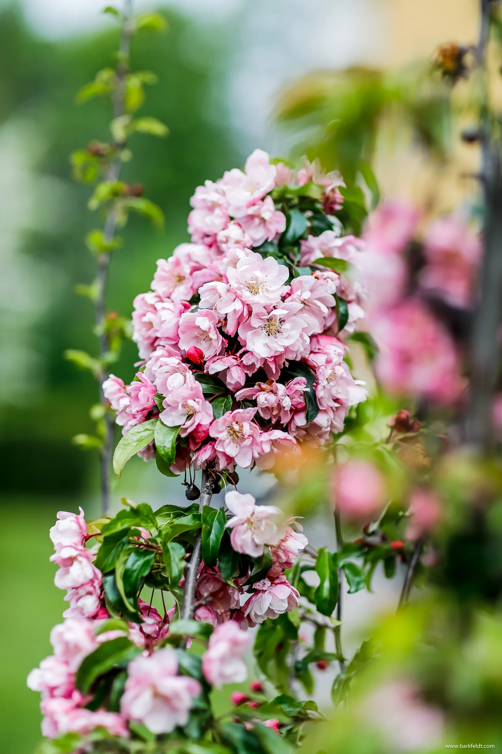 Bostadsrätt, Svartbäcksgatan 105B, Svartbäcken, Uppsala