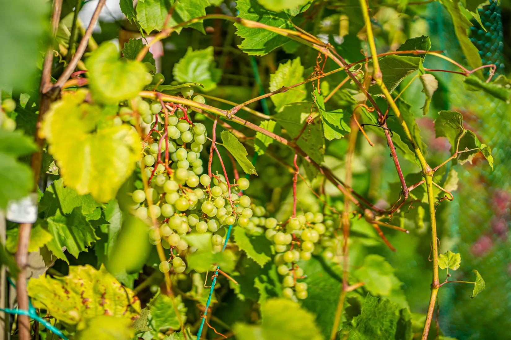 Fritidshus, Eda mossväg 24, Eda, Knivsta