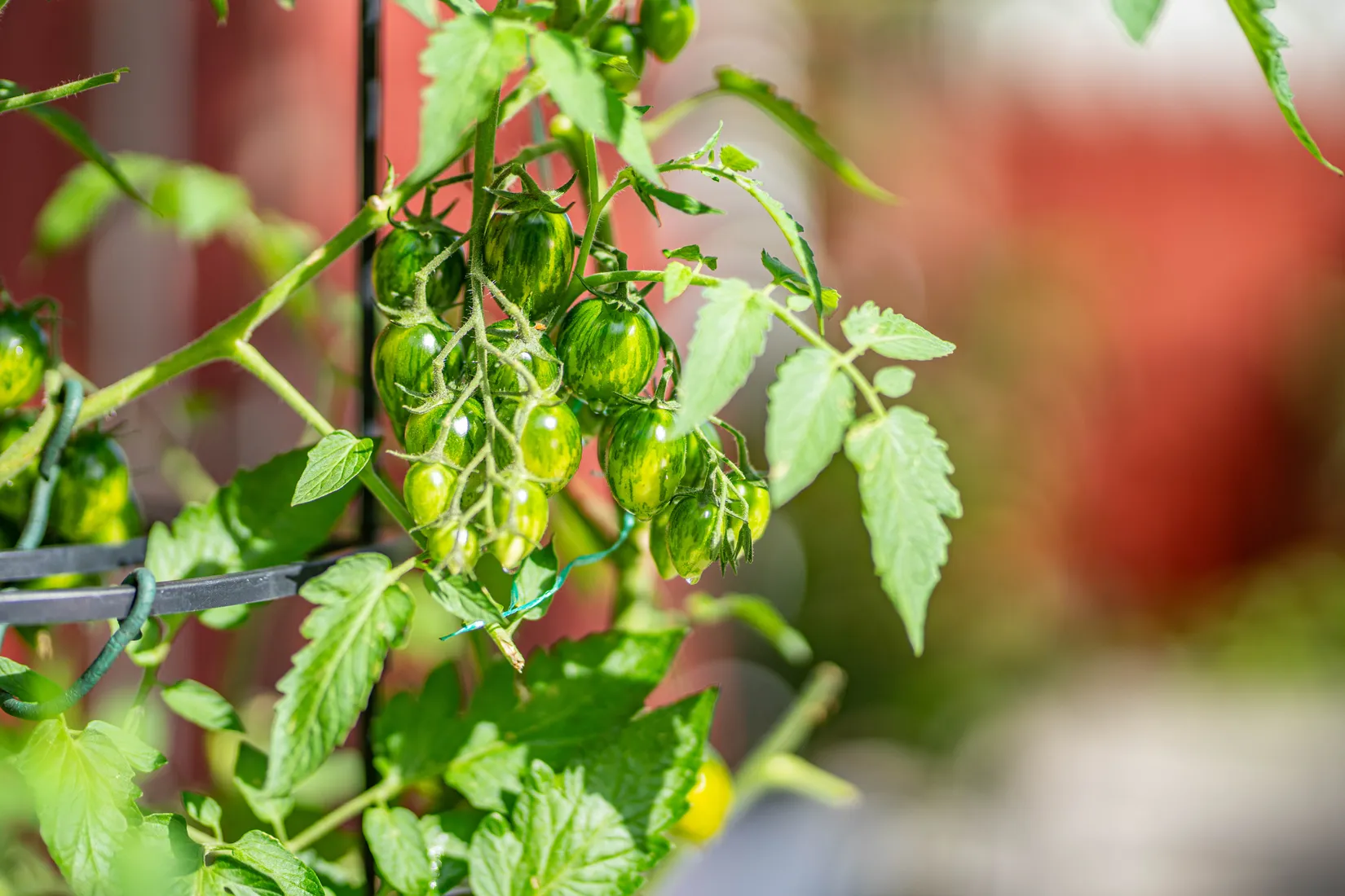 Fritidshus, Eda mossväg 24, Eda, Knivsta