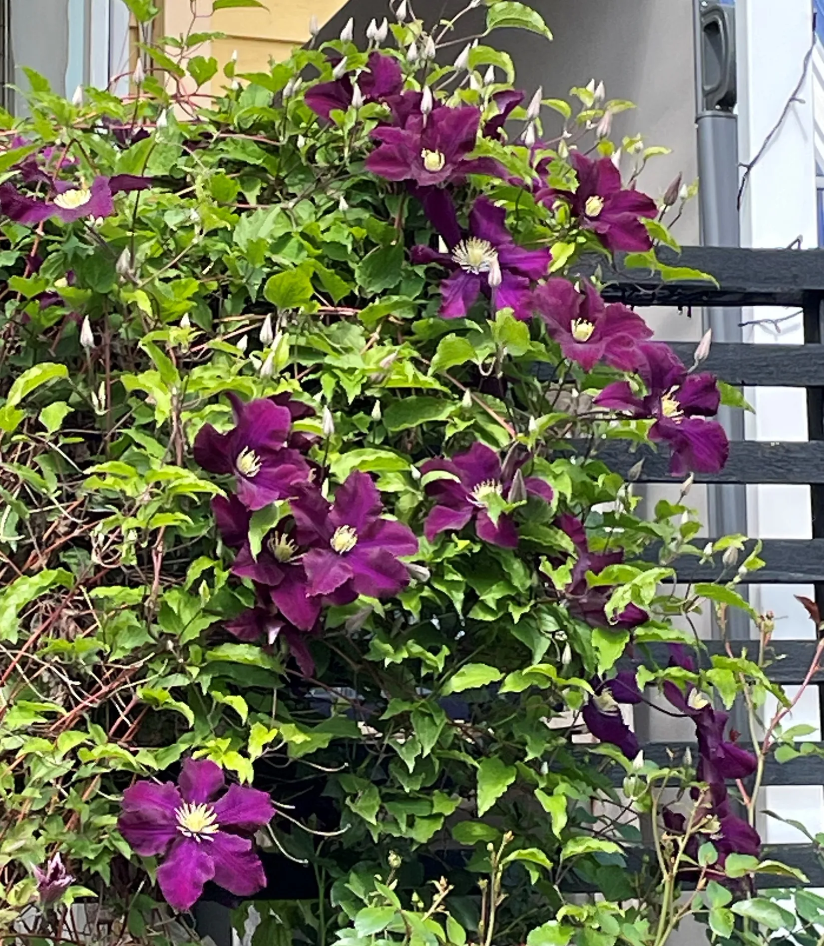 Villa, Törnbuskstigen 8, Spånga Solhem, Stockholm