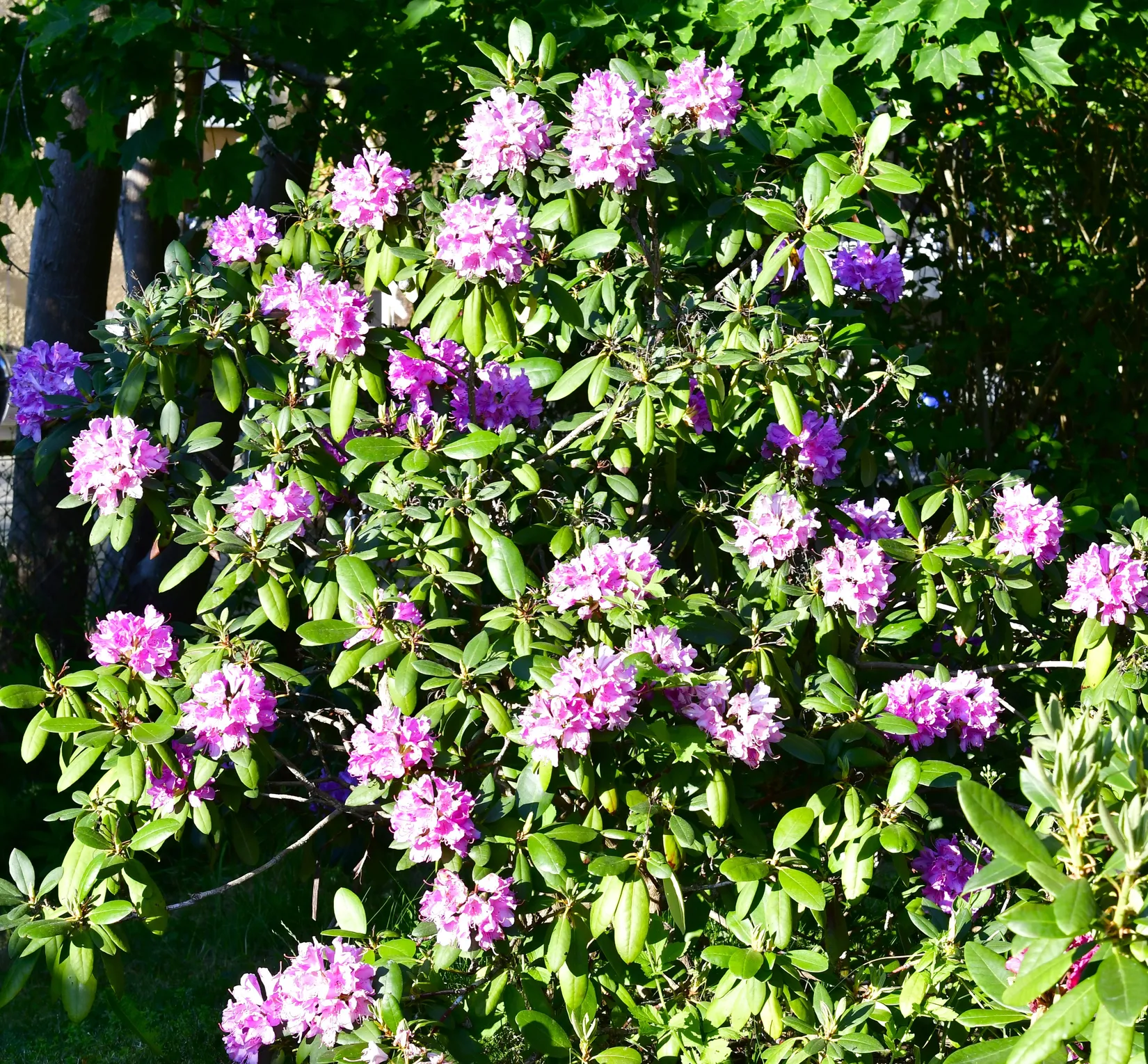 Villa, Törnbuskstigen 8, Spånga Solhem, Stockholm