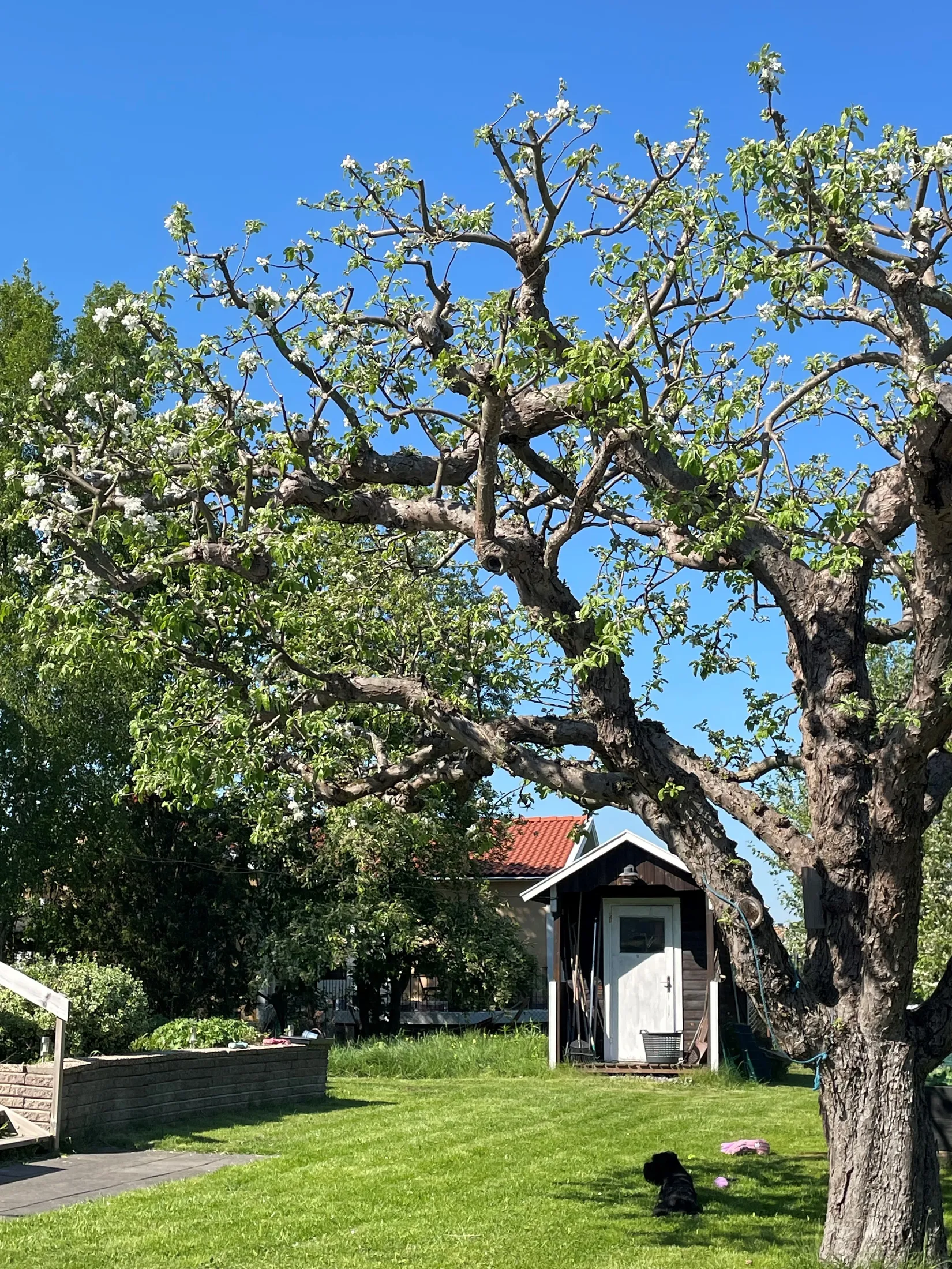 Villa, Törnbuskstigen 8, Spånga Solhem, Stockholm