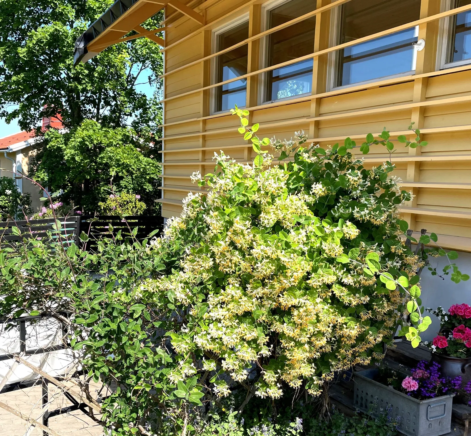 Villa, Törnbuskstigen 8, Spånga Solhem, Stockholm