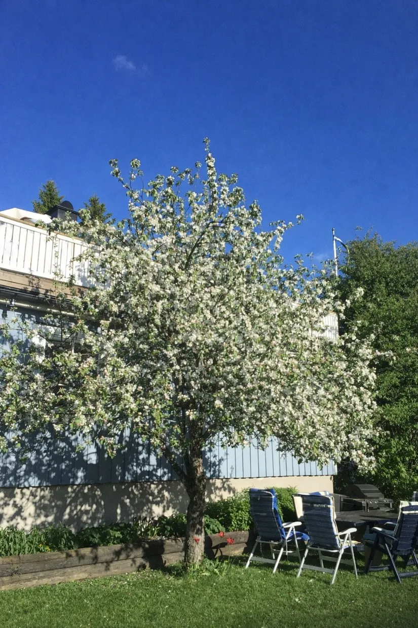 Villa, Tallvägen 3, Hälletorp, Härnösand