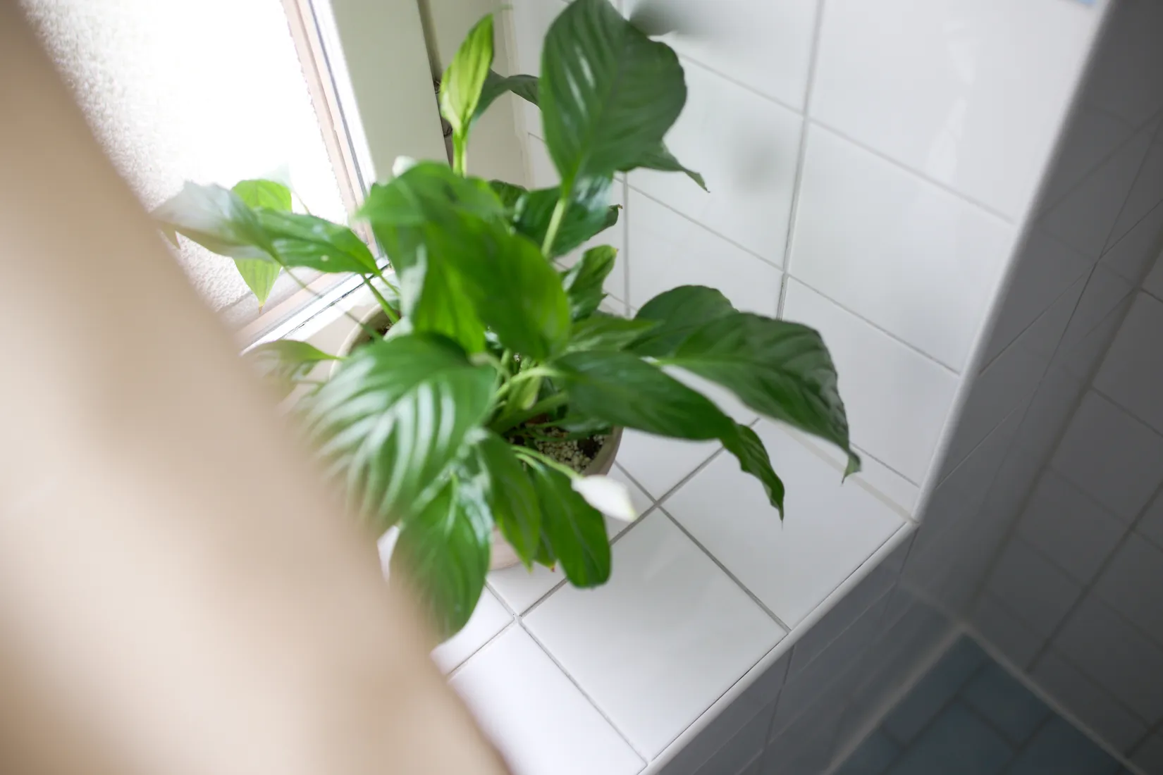 Bostadsrätt, Aschebergsgatan 11B, Vasastaden, Göteborg
