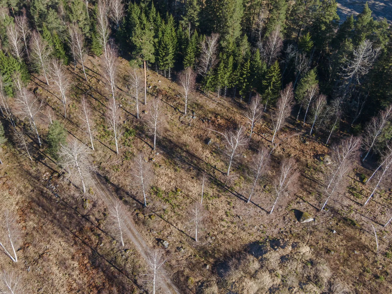 Tomt, Irsta Olsta, Irsta, Västerås