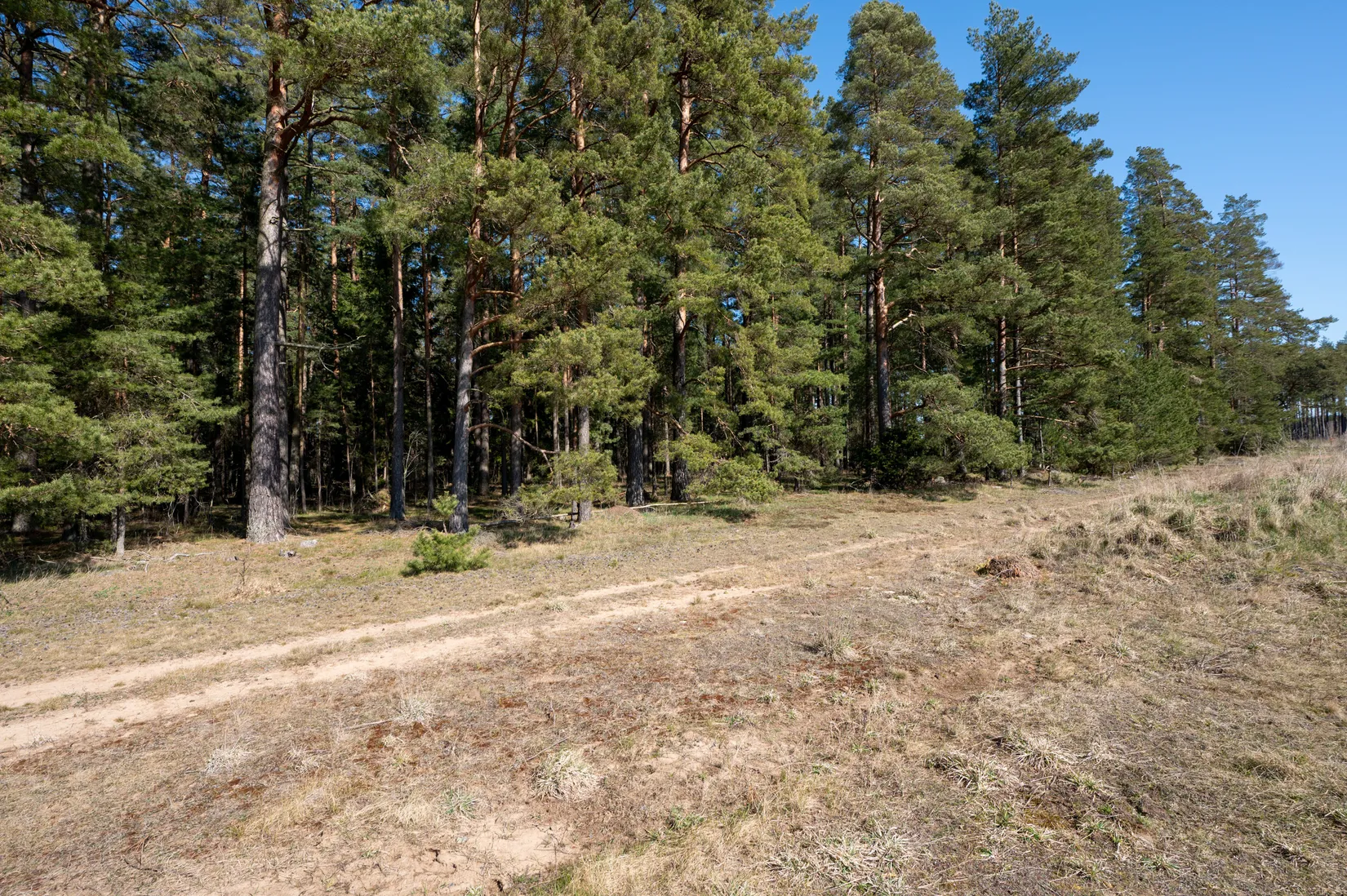 Tomt, Ånetorp Mjölby, Mjölby