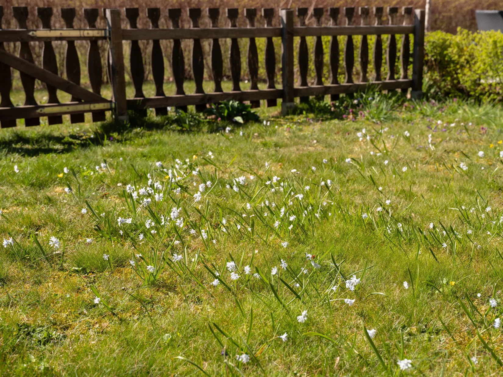 Bostadsrätt, Furugatan 8, Gotland