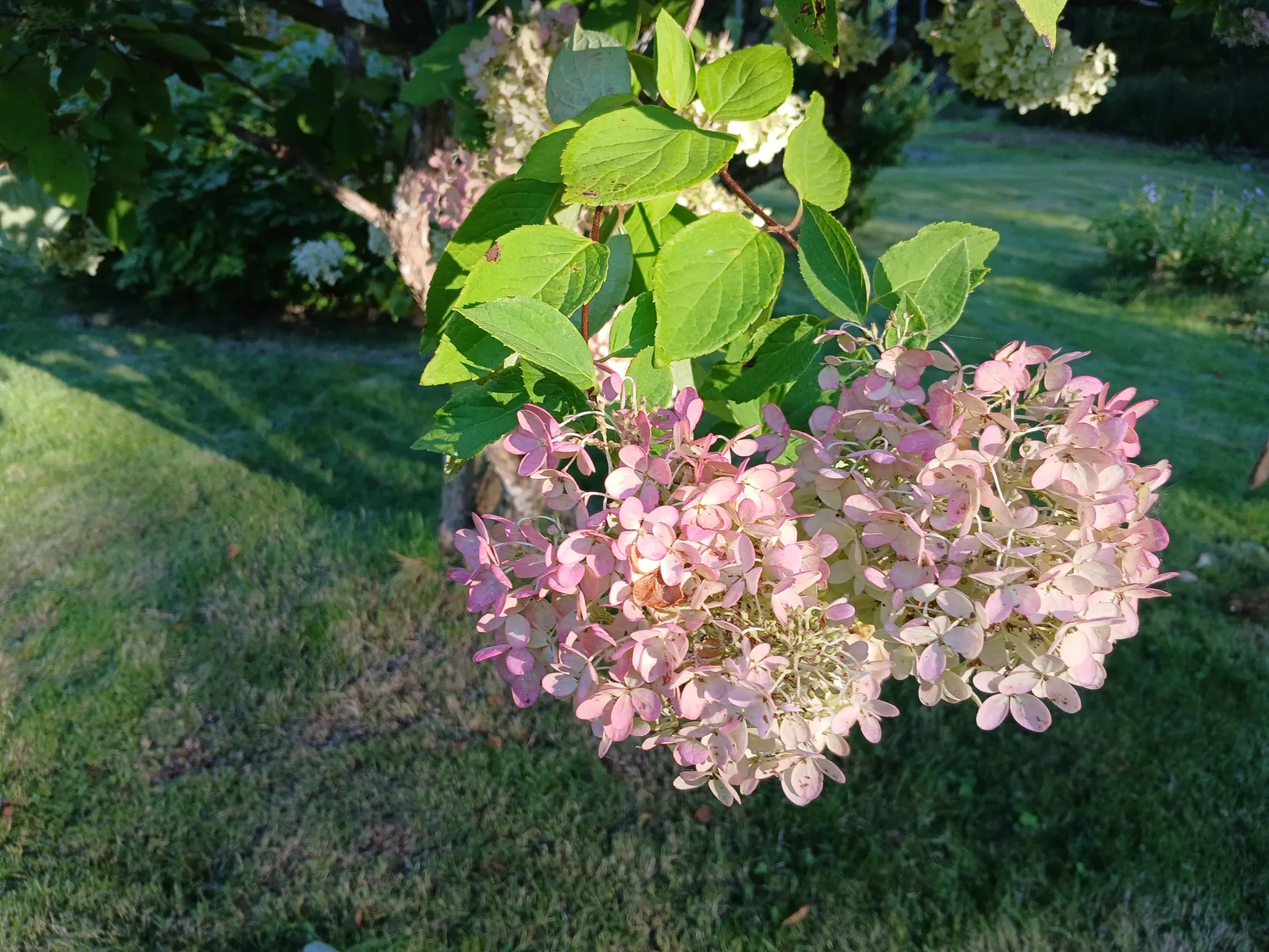 Villa, Kättefallet 4, Laxå