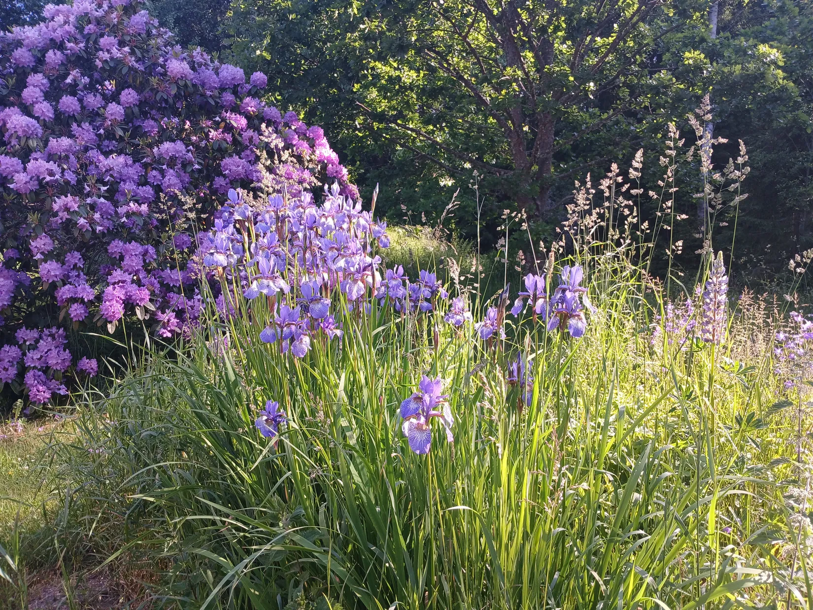 Villa, Kättefallet 4, Laxå