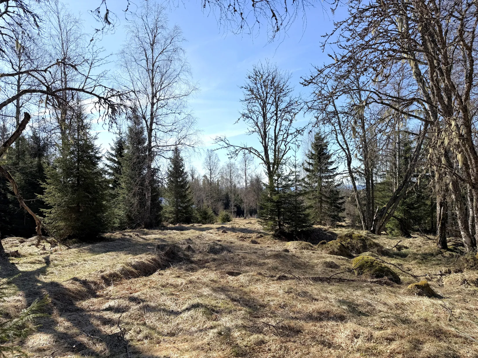 Tomt, Gravol 1:106, Gravolsätern, Torsby