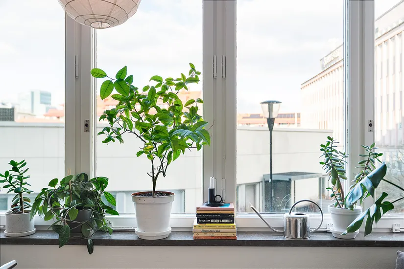 Bostadsrätt, Mattssonsliden 26, Masthugget, Göteborg