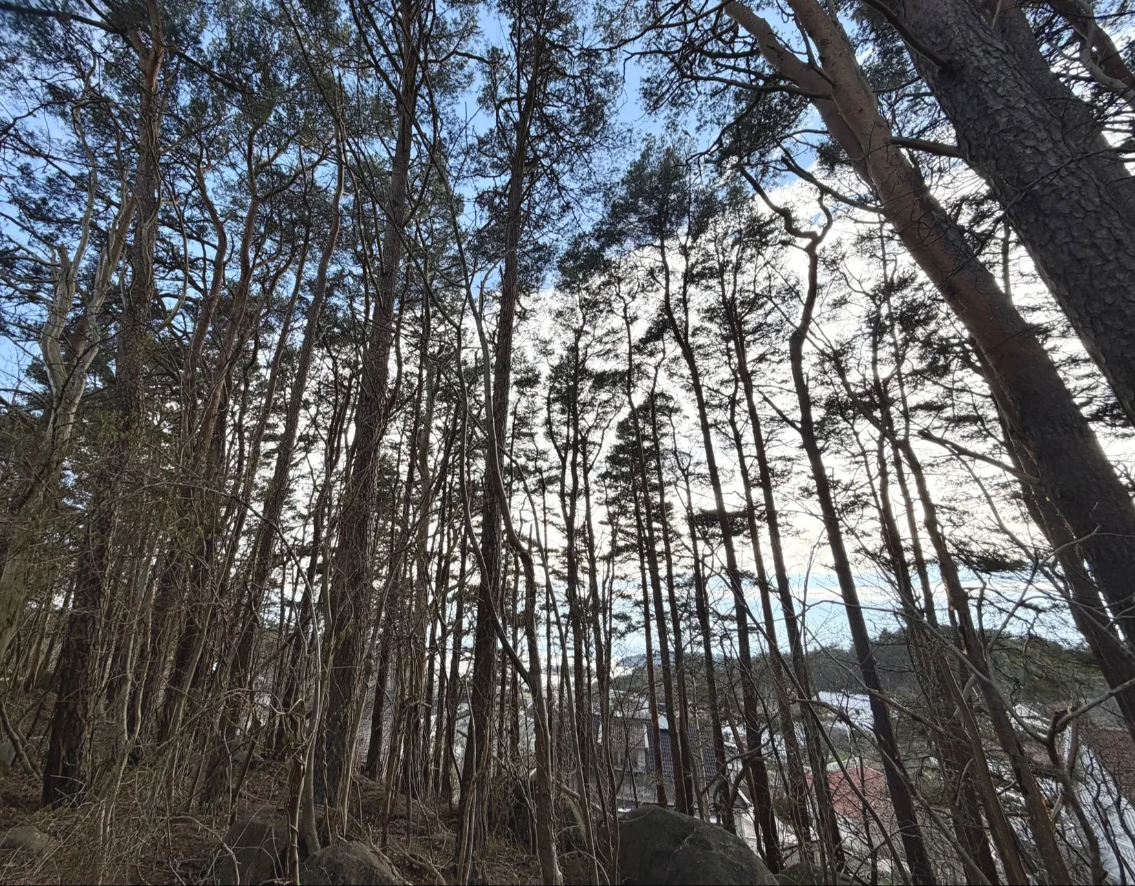 Fritidshus, Lyckestigen 8, Askim