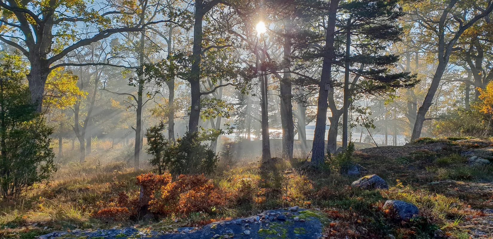 Fritidshus, Äspholmen 18, Frötuna - Spillersboda, Norrtälje