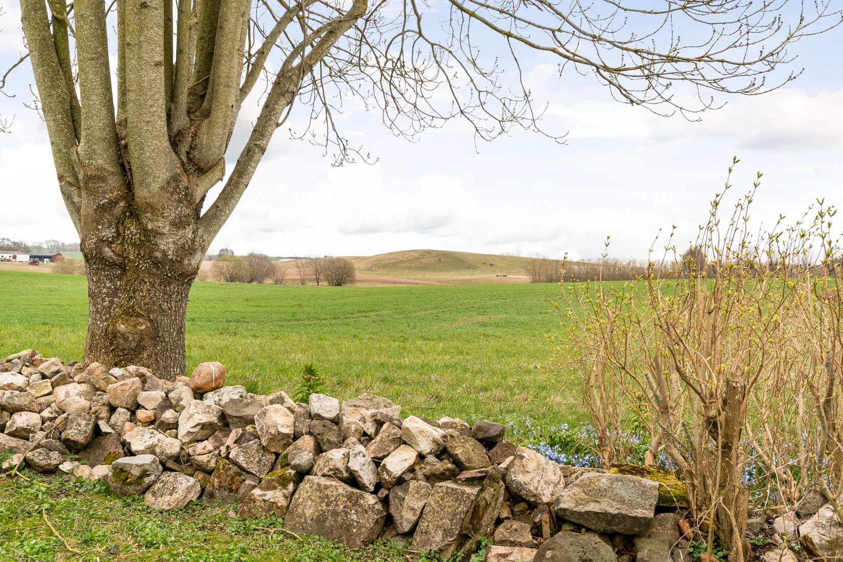 Villa, Bygatan 22, Östra Vemmerlöv, Simrishamn