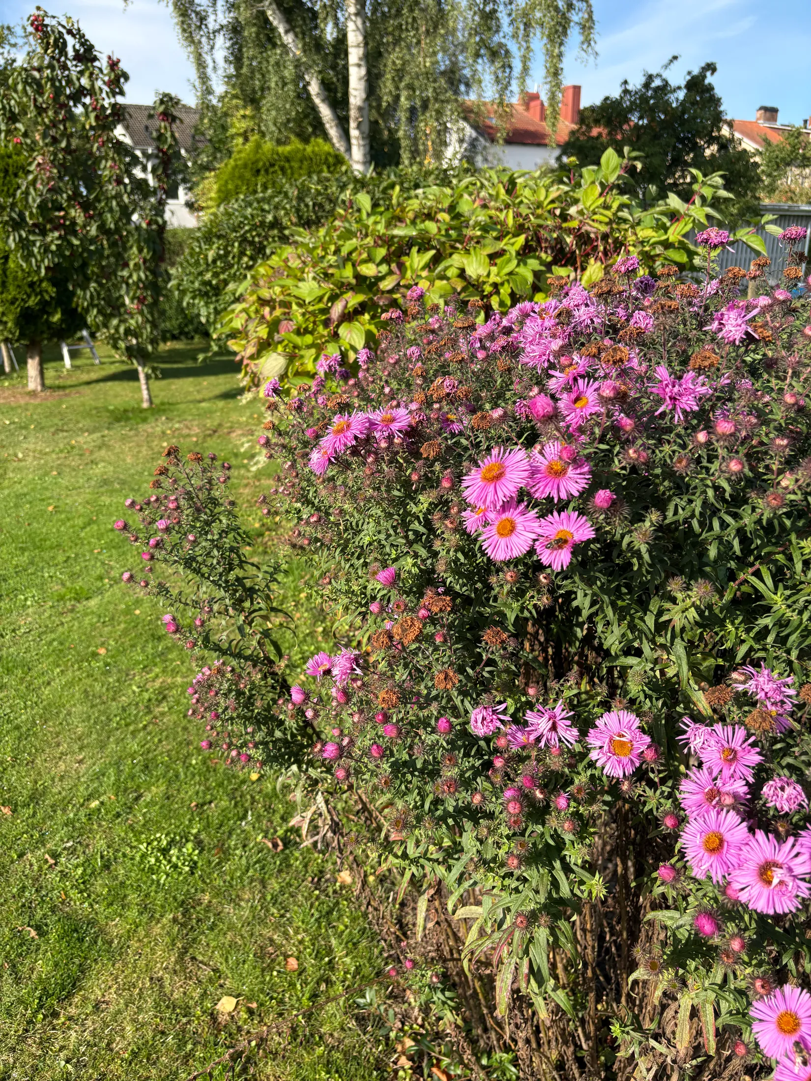 Villa, Eriksgatan 7, Skurup