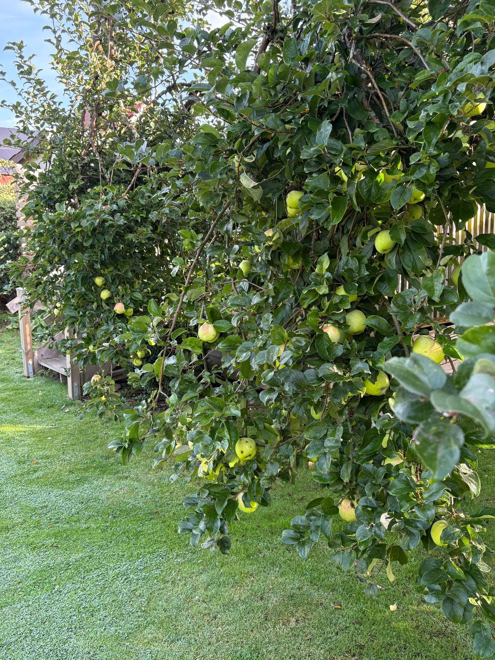 Villa, Eriksgatan 7, Skurup