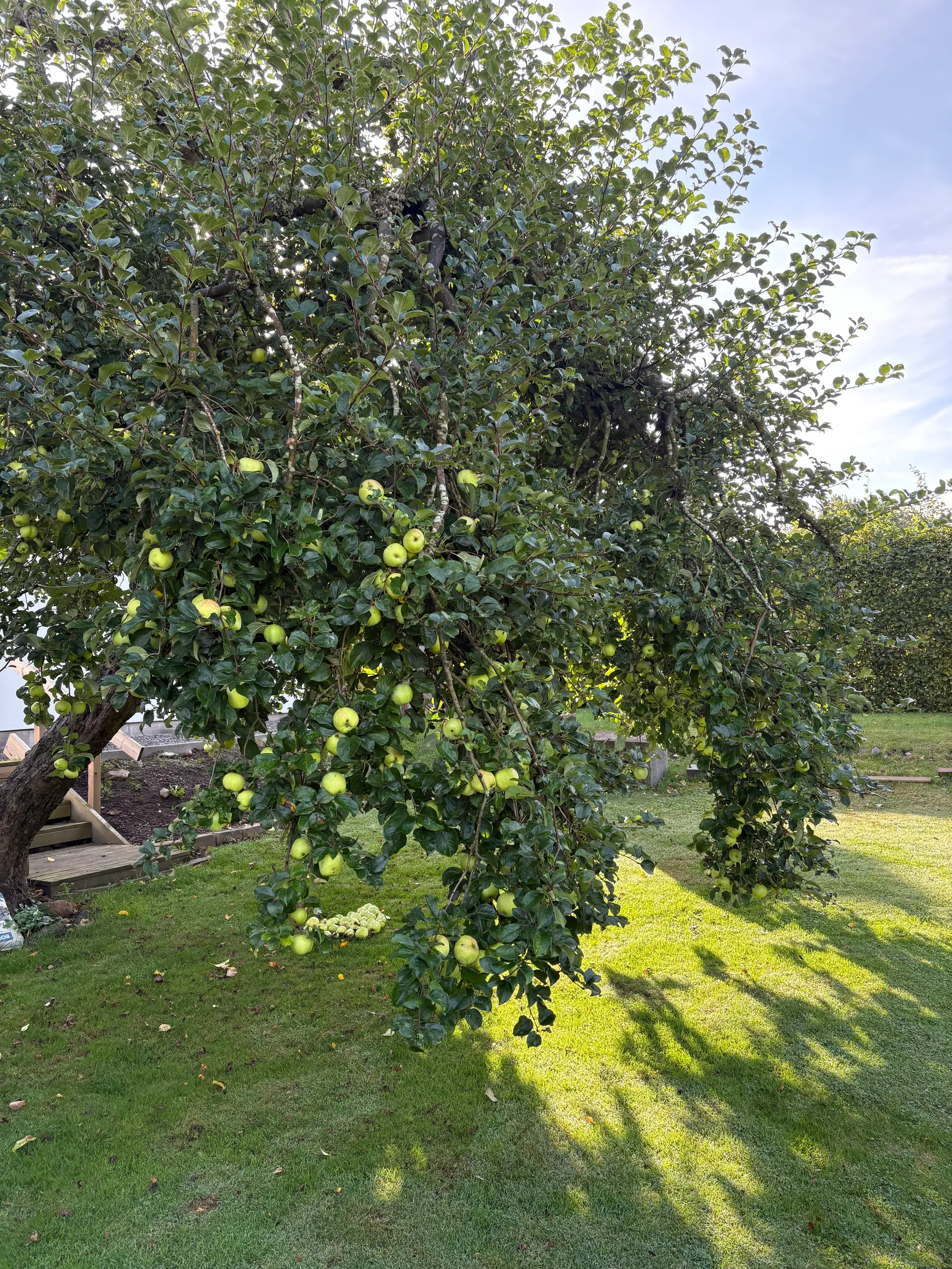 Villa, Eriksgatan 7, Skurup