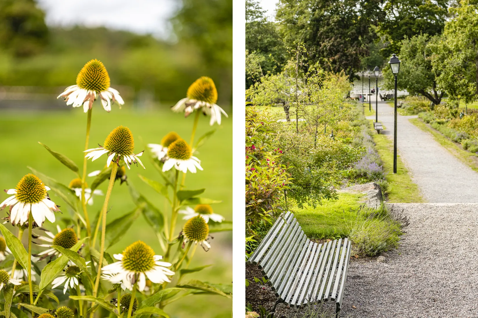 Bostadsrätt, Pepparvägen 66, Hökarängen, Stockholm