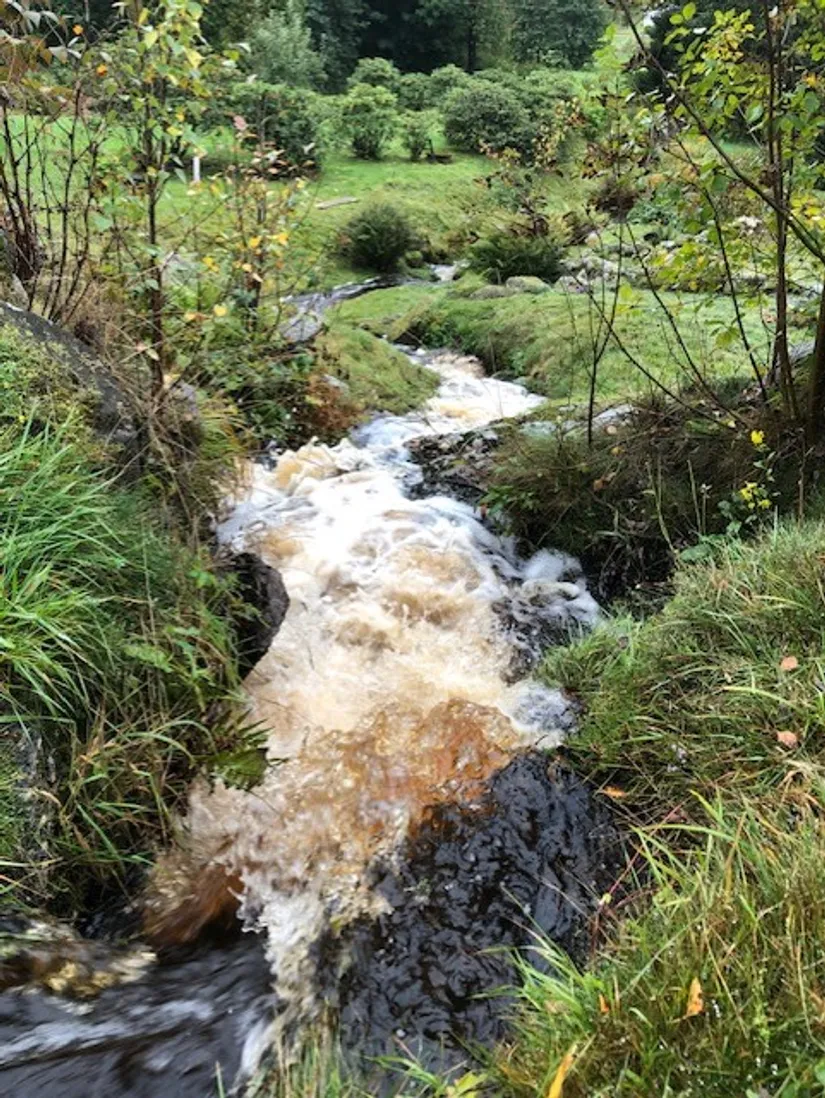 Villa, Foss-Kleva 37, Kleva, Munkedal