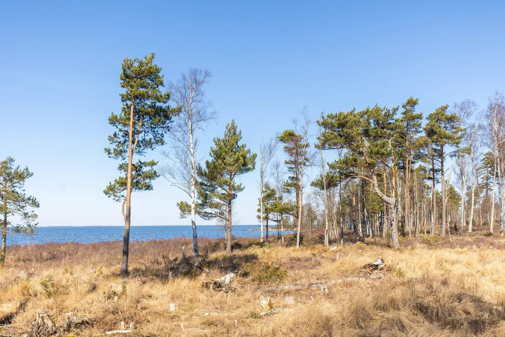 Tomt, Baggerudsvägen 45B-E, Baggerud, Kristinehamn