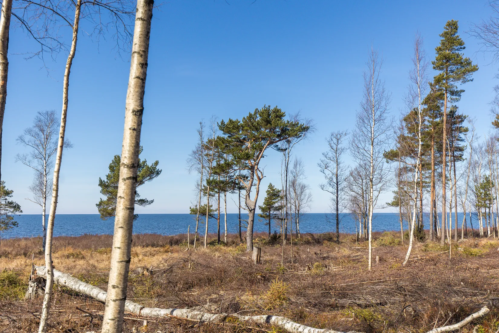 Tomt, Baggerudsvägen 45B-E, Baggerud, Kristinehamn