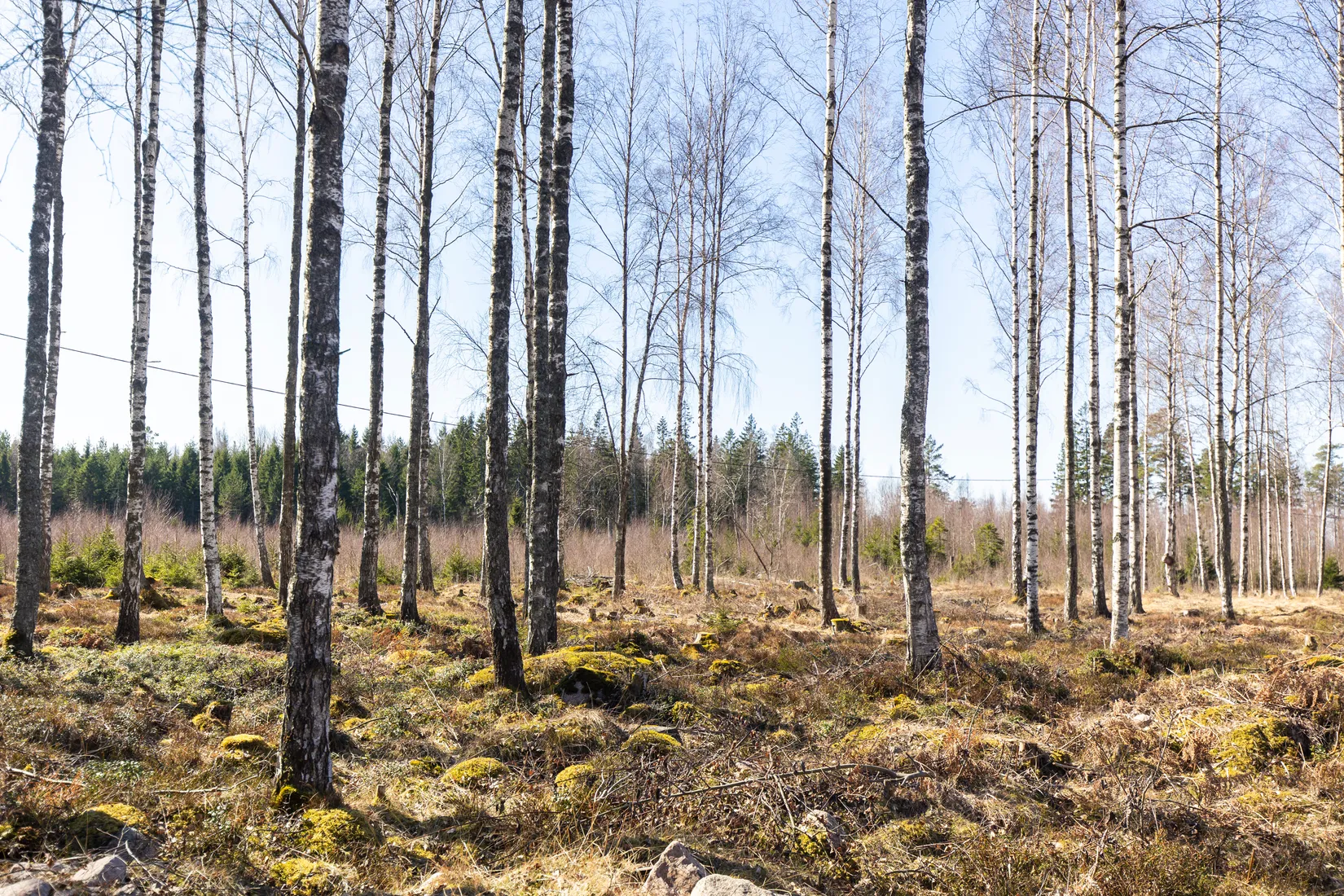 Tomt, Baggerudsvägen 45B-E, Baggerud, Kristinehamn