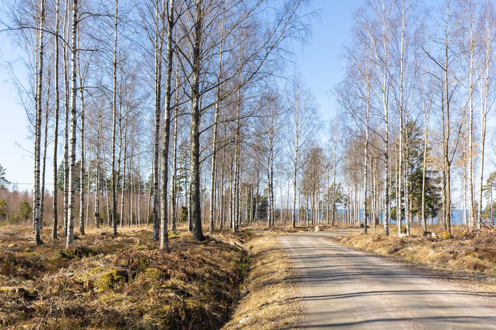 Tomt, Baggerudsvägen 45B-E, Baggerud, Kristinehamn