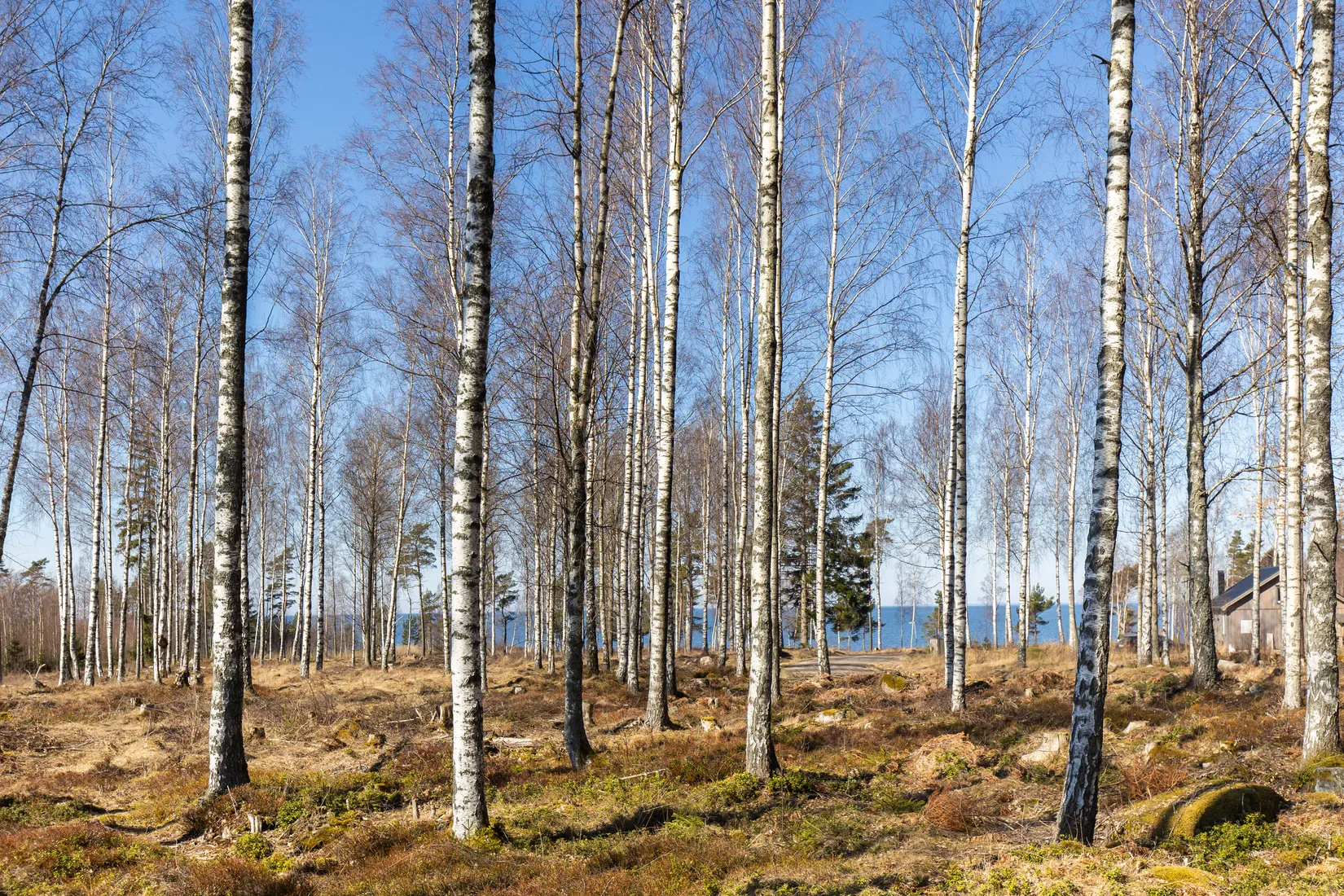 Tomt, Baggerudsvägen 45B-E, Baggerud, Kristinehamn