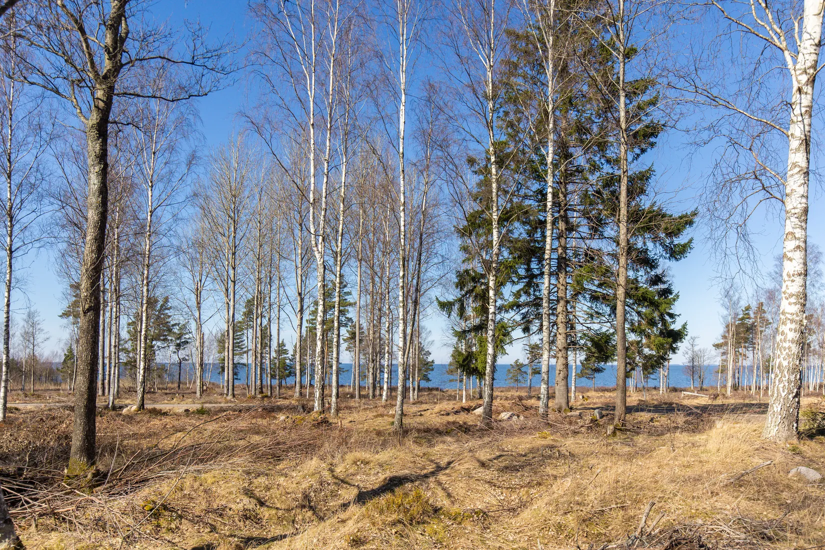 Tomt, Baggerudsvägen 45B-E, Baggerud, Kristinehamn