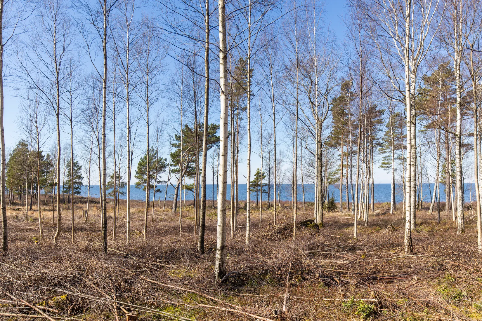 Tomt, Baggerudsvägen 45B-E, Baggerud, Kristinehamn