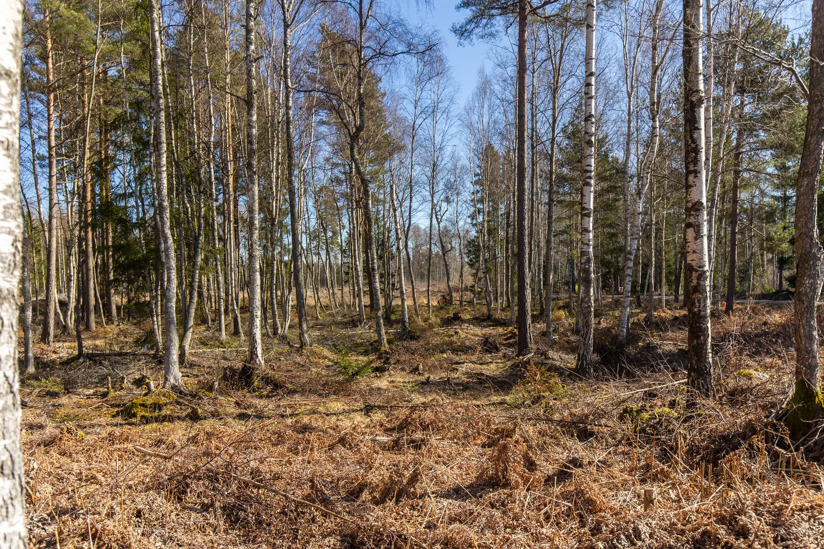 Tomt, Baggerudsvägen 45B-E, Baggerud, Kristinehamn